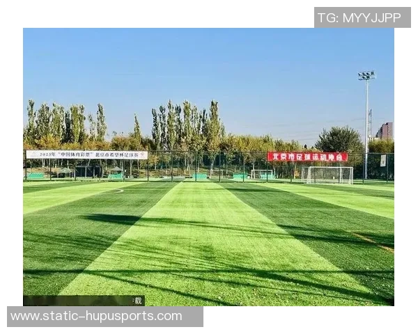 新安足球公园：打造城市绿地与足球文化交融的梦想乐园